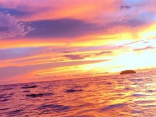 ����׃�����x�ͺ�ע�����(xi��ng)